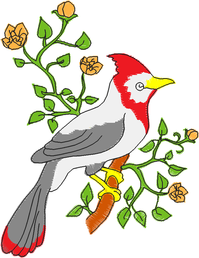 Birds  Flowers