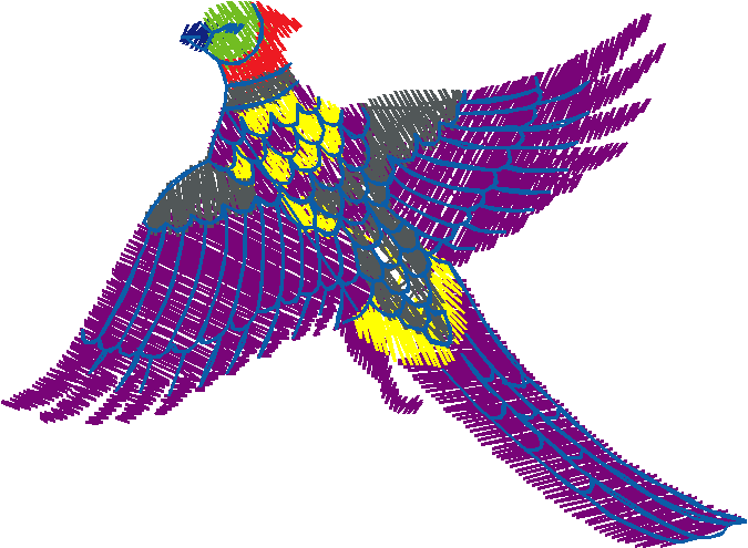 Birds Collection