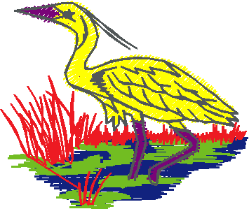 Birds 1 (137)
