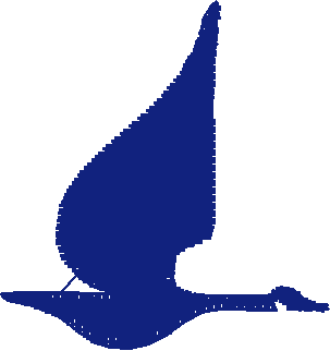 Birds 1 (142)