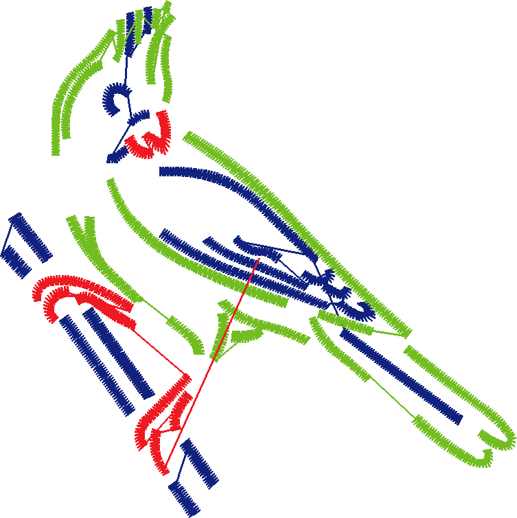 Birds 1 (148)