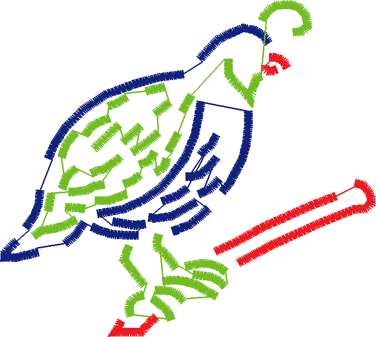Birds 1 (168)