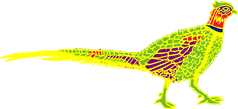 Birds 1 (30)