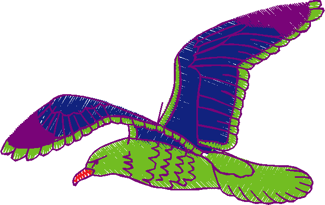 Birds 1 (33)
