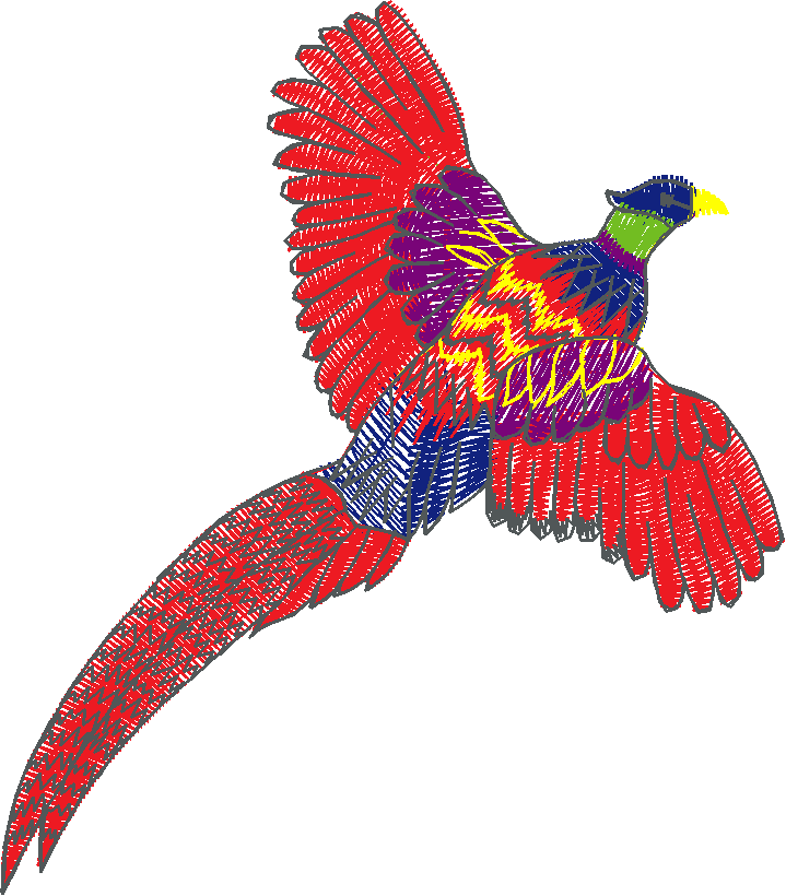 Birds 1 (36)