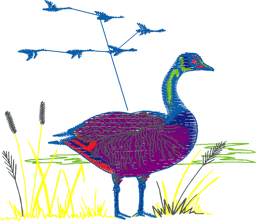 Birds 1 (52)