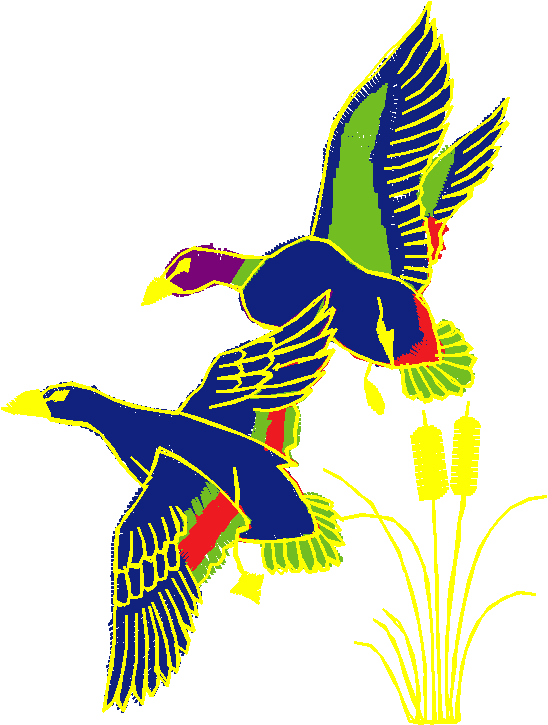 Birds 1 (57)