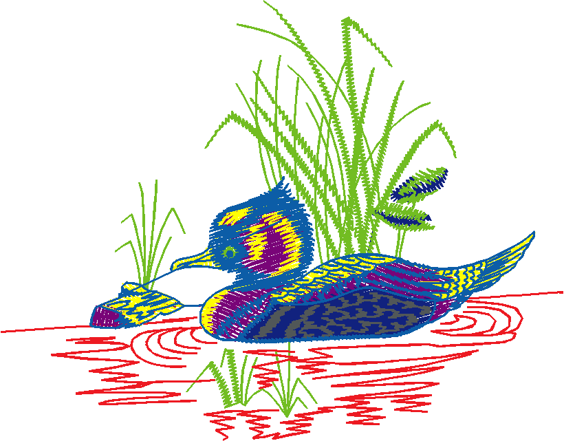 Birds 1 (59)