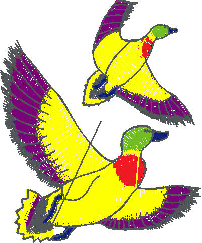 Birds 1 (60)