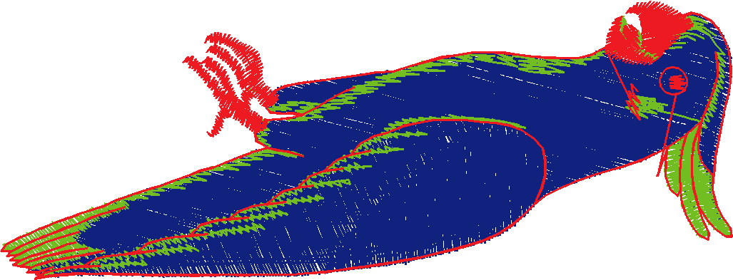 Birds 1 (66)