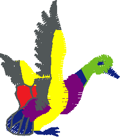 Birds 1 (71)