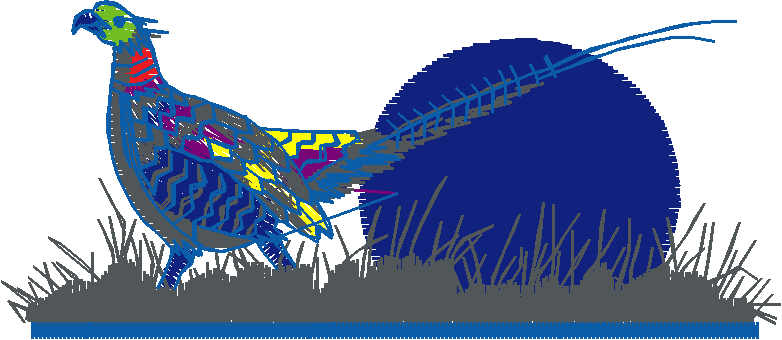 Birds 1 (72)