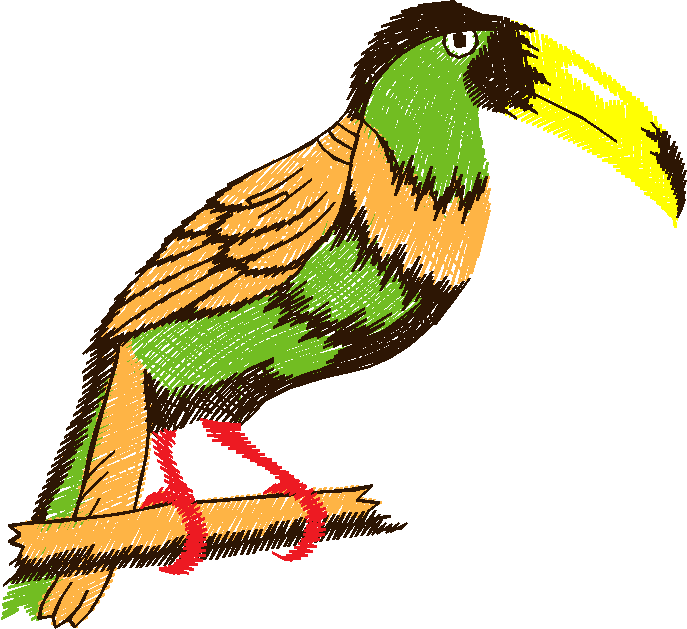 Birds 10 (12)