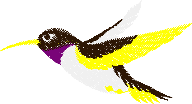Birds 10 (19)
