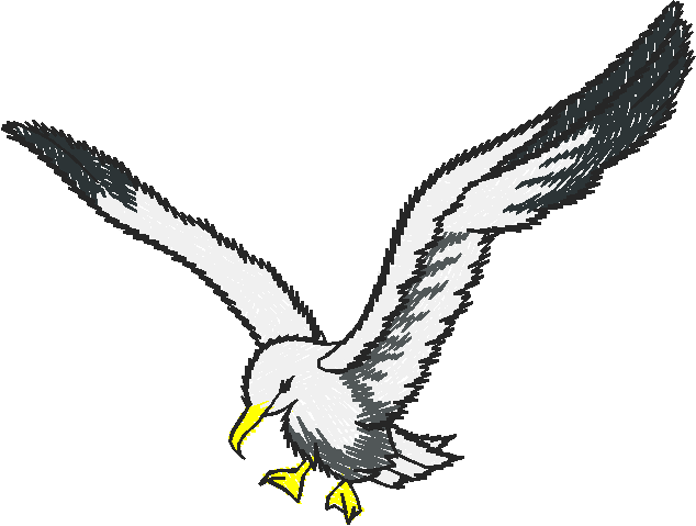 Birds 10 (22)