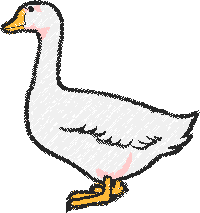 Birds 10 (25)