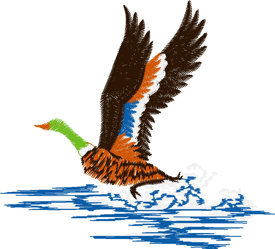 Birds 10 (5)