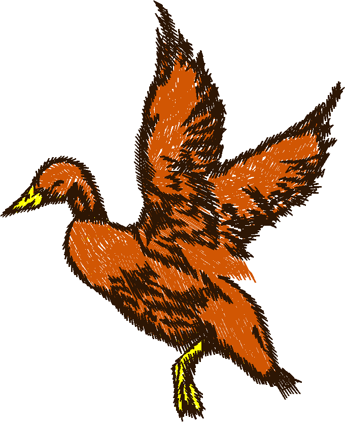 Birds 10 (6)