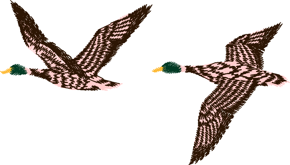 Birds 10 (7)