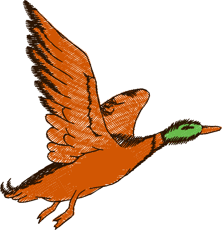 Birds 11 (1)