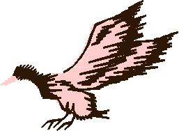 Birds 11 (10)
