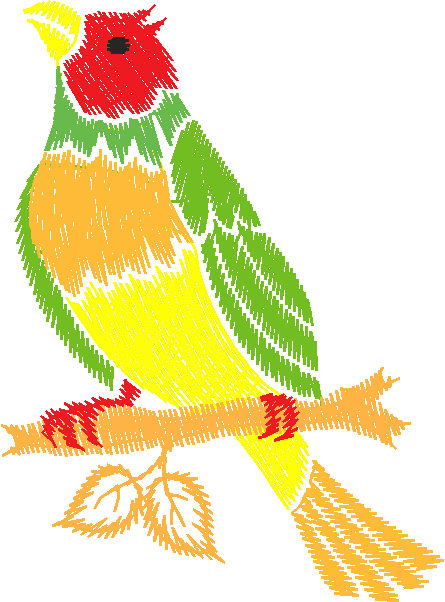 Birds 11 (15)