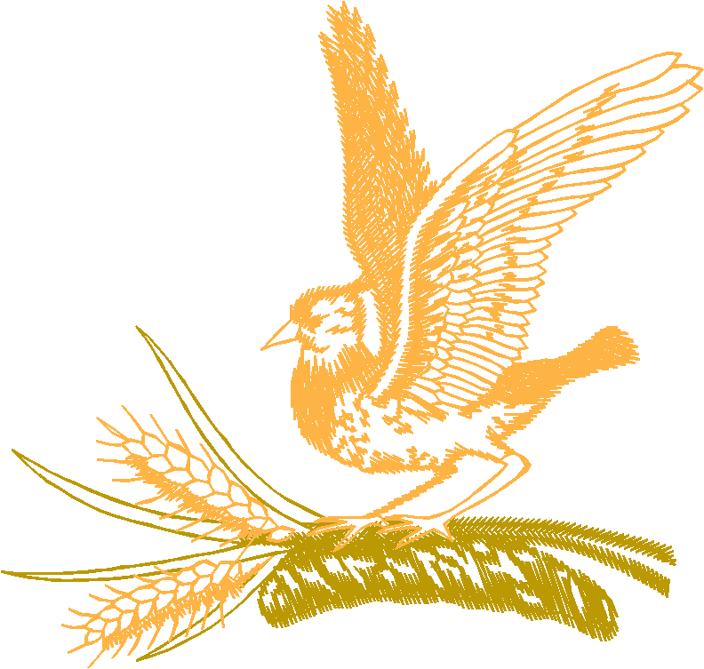 Birds 11 (16)