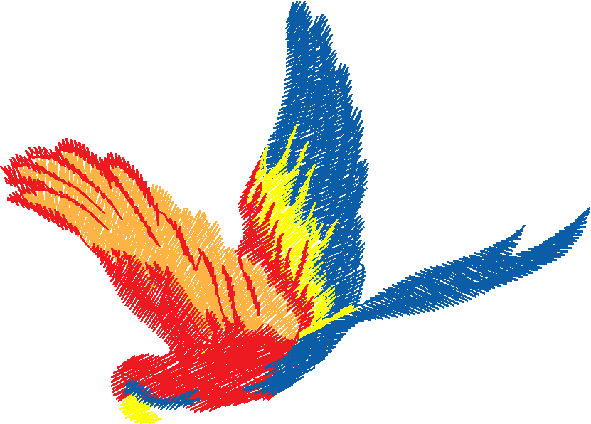 Birds 11 (20)