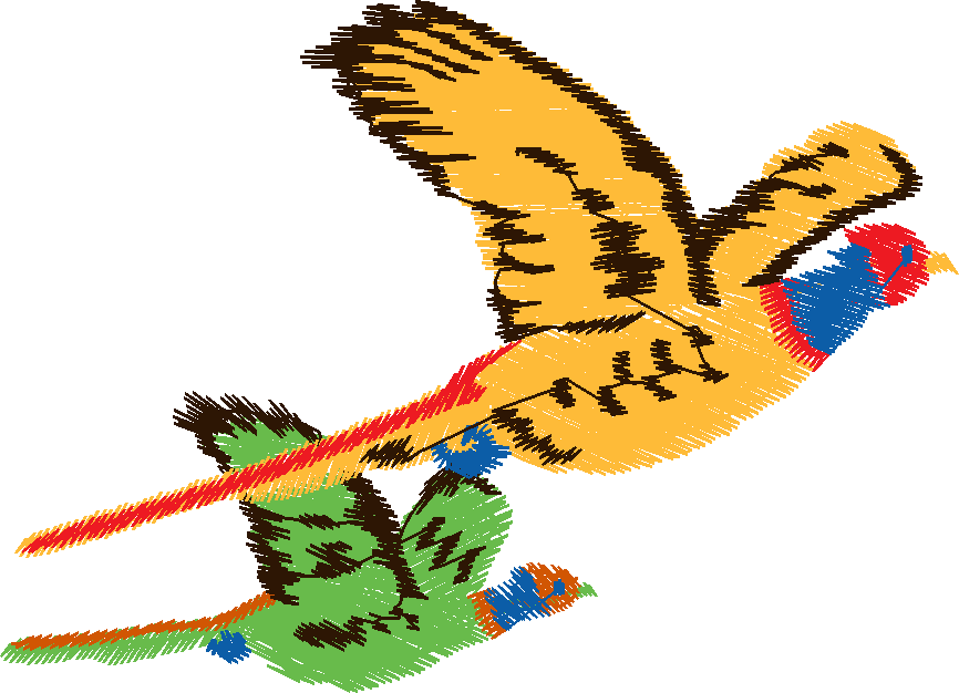 Birds 11 (21)