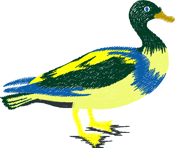 Birds 11 (3)