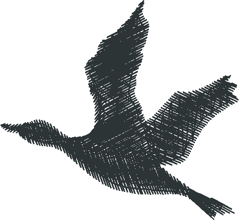Birds 11 (8)