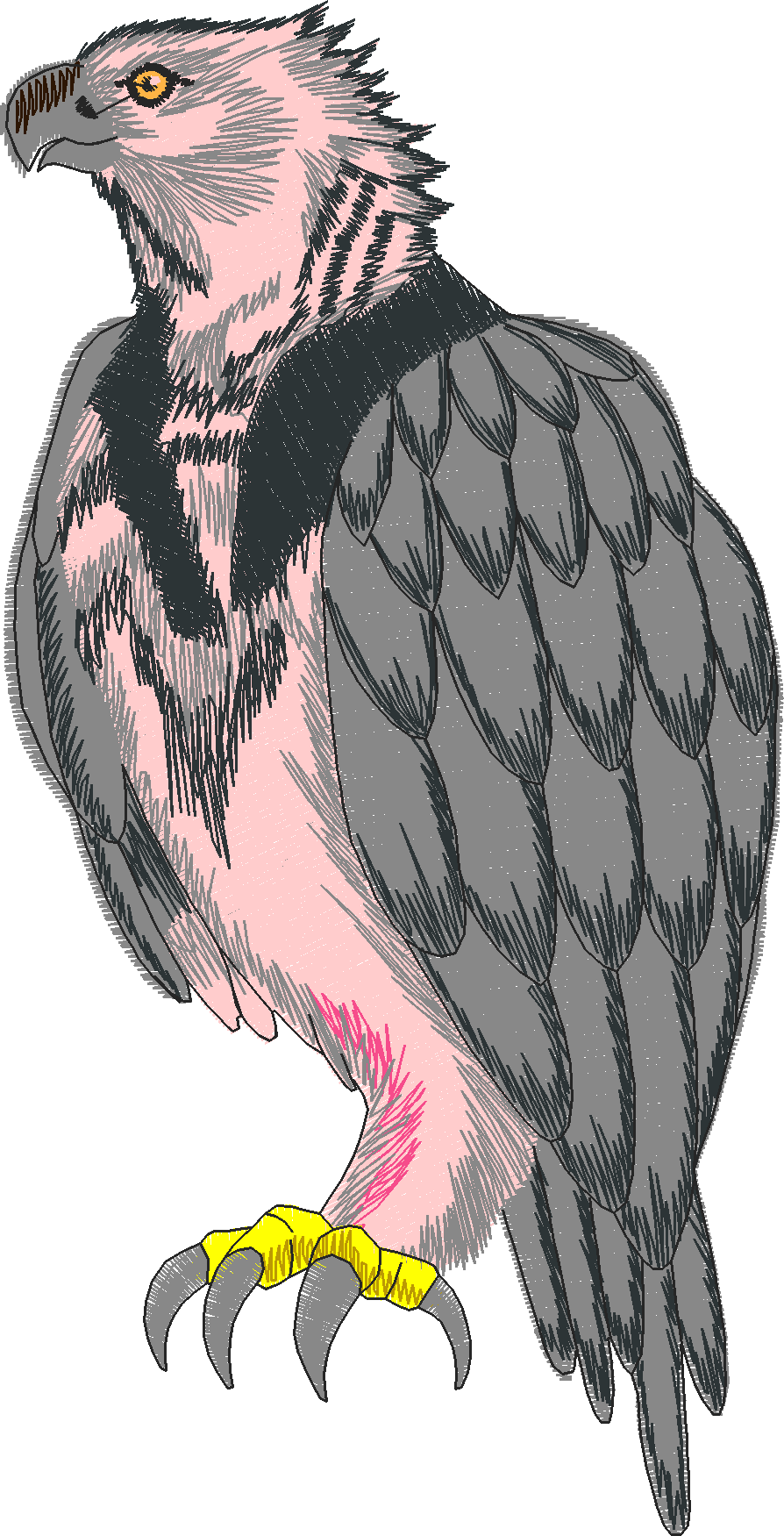 Birds 12 (10)