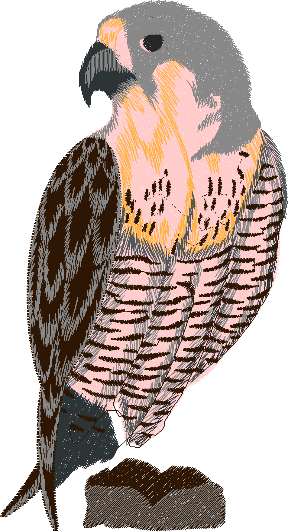 Birds 12 (2)