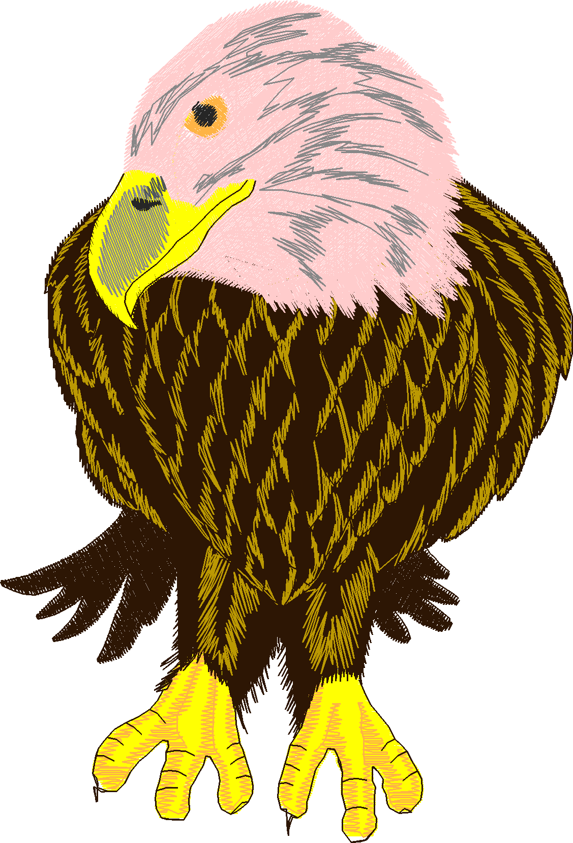 Birds 12 (7)