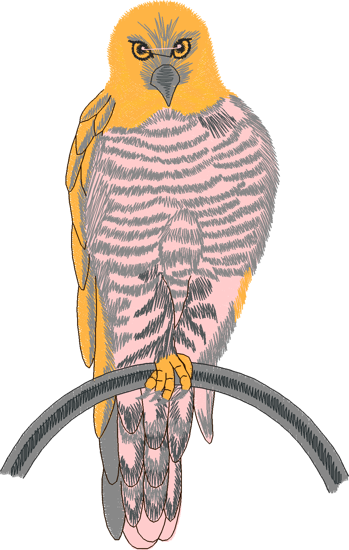 Birds 12 (9)
