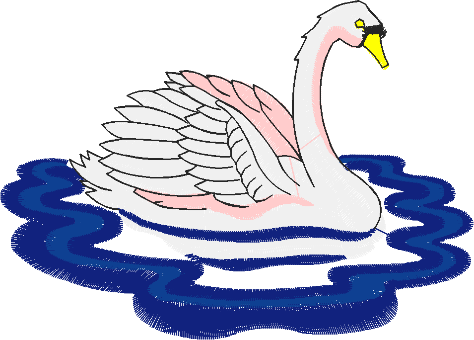 Birds 13 (24)