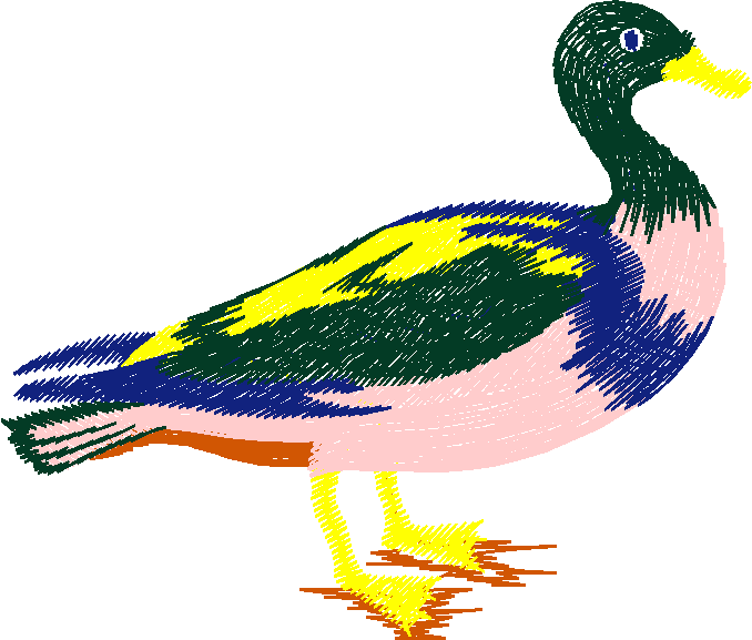 Birds 13 (3)