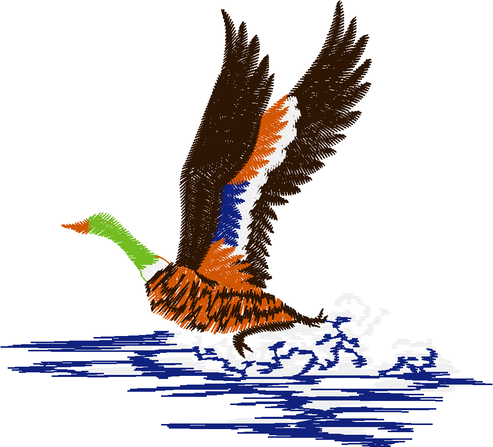 Birds 13 (5)