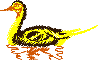 Birds 13 (9)