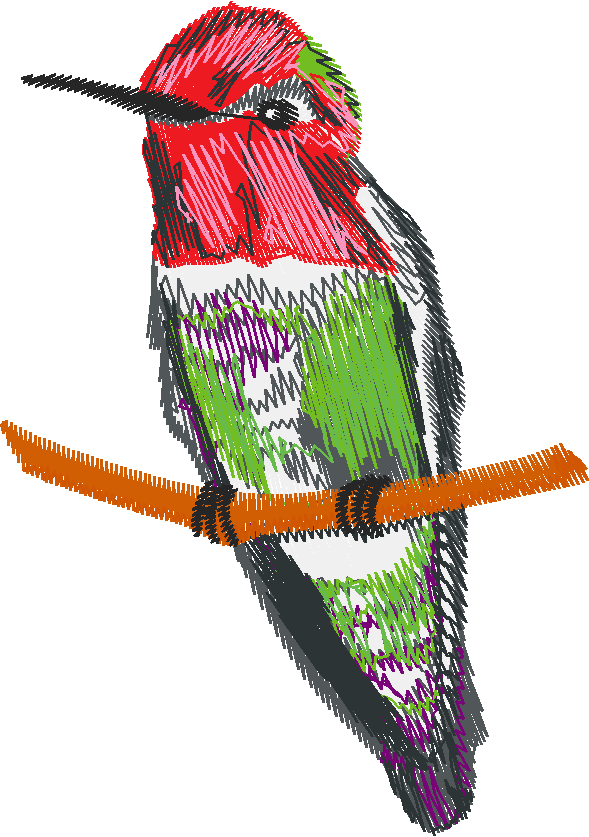 Birds 14 (1)
