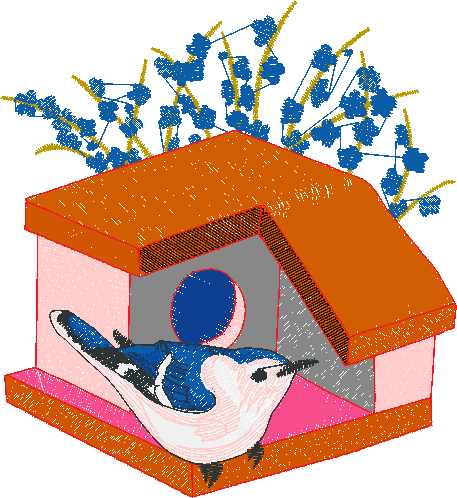 Birds 15 (19)