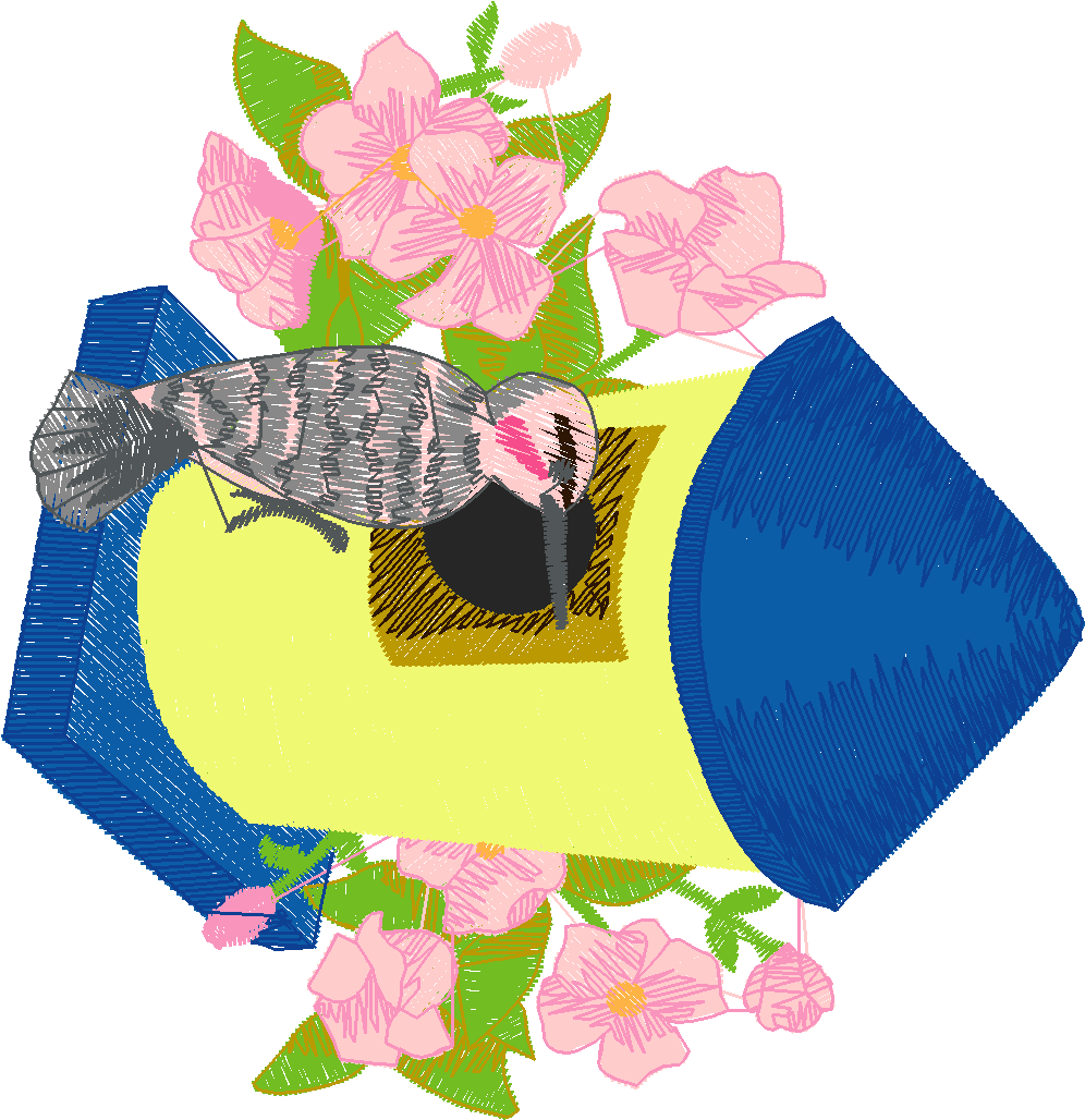 Birds 15 (20)