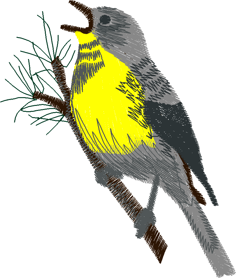 Birds 17 (19)