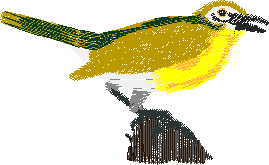 Birds 17 (20)