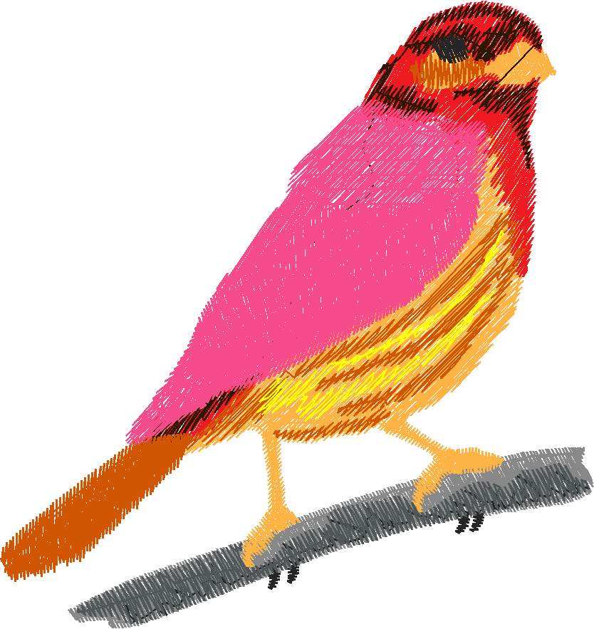 Birds 17 (6)