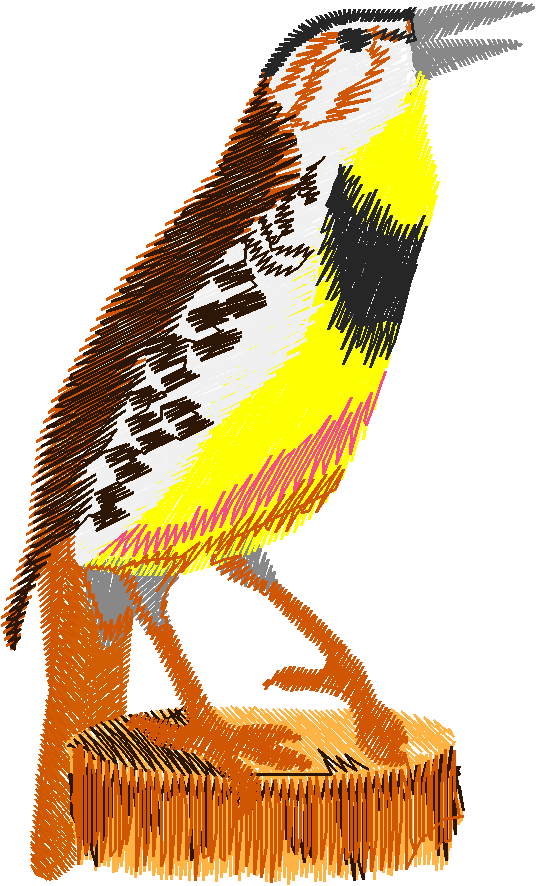 Birds 17 (8)