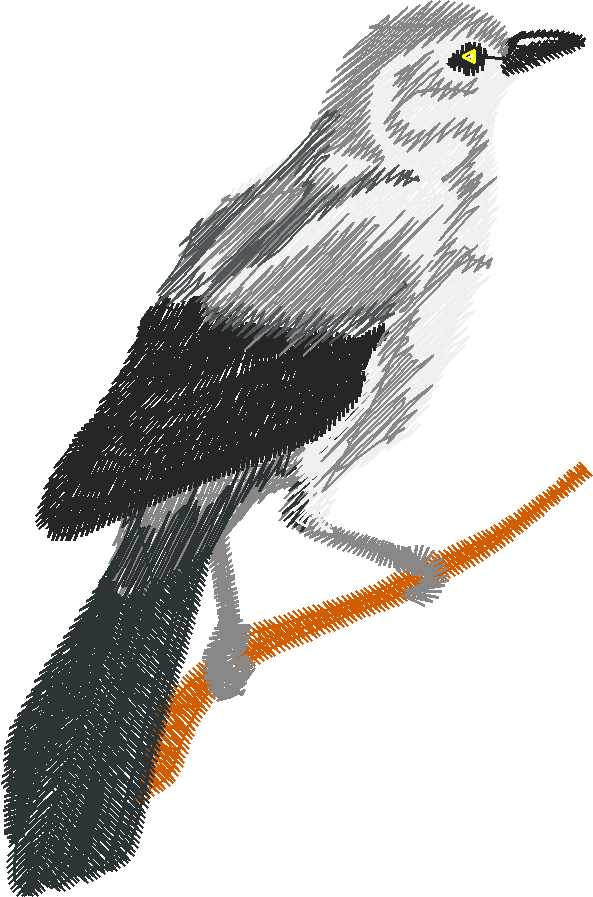 Birds 17 (9)