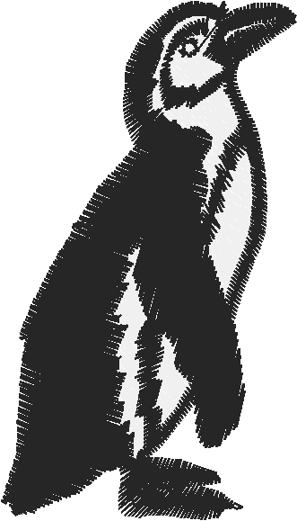 Birds 18 (13)