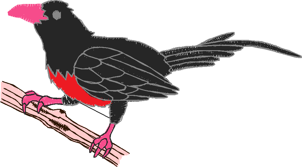 Birds 18 (16)