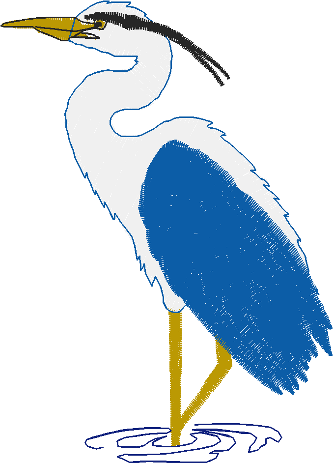 Birds 18 (17)
